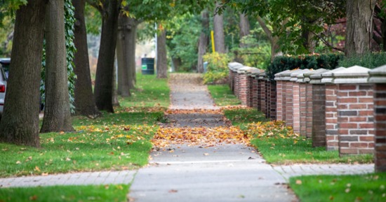 Sidewalk Cost Share Program Scam Warning